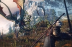 the Witcher 3
