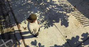 How to disable or remove shadows in GTA 5 on PC?