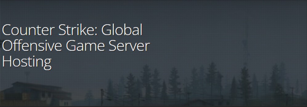 Survival servers