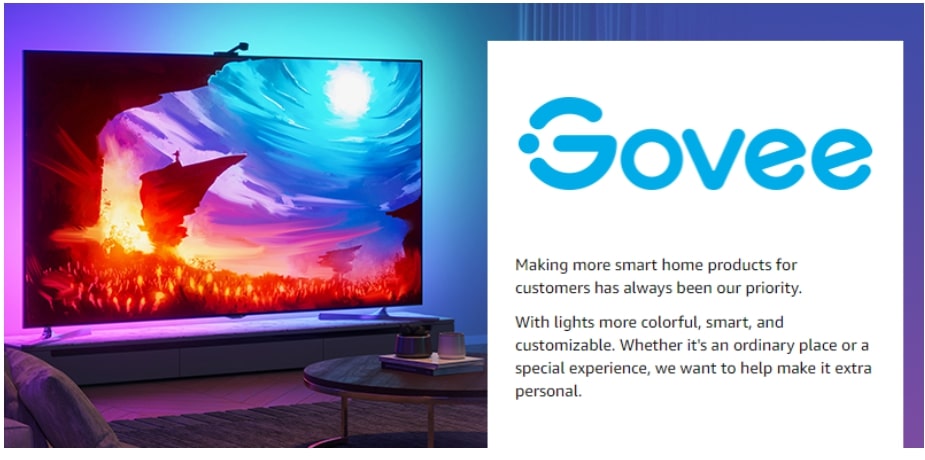 Govee TV LED Lights